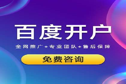 案例研究：SEM推广助力企业业绩增长